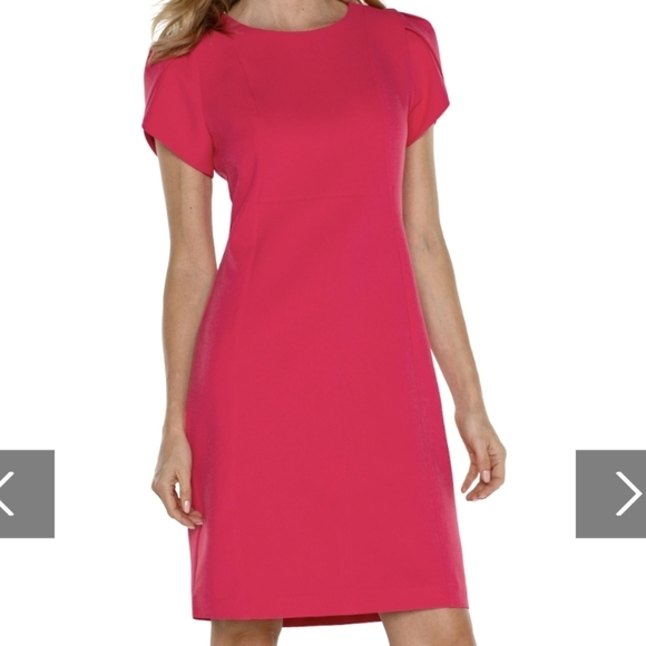 Liverpool Los Angeles Tulip Sleeve Sheath Dress NWT in Pink Punch - Size 14 - Picture 1 of 11